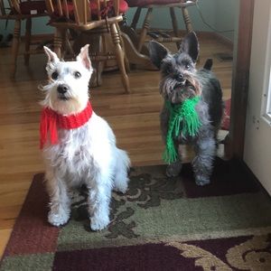 Meet your Posher, Kellie